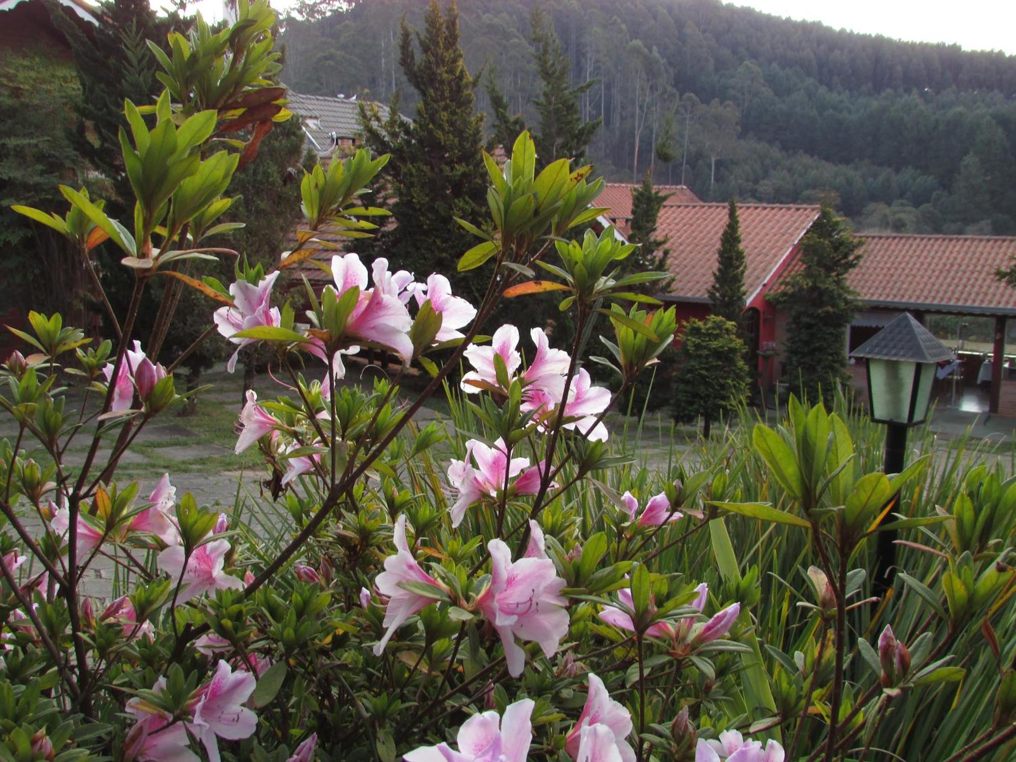 Pousada Flores Da Serra Monte Verde  Exterior foto